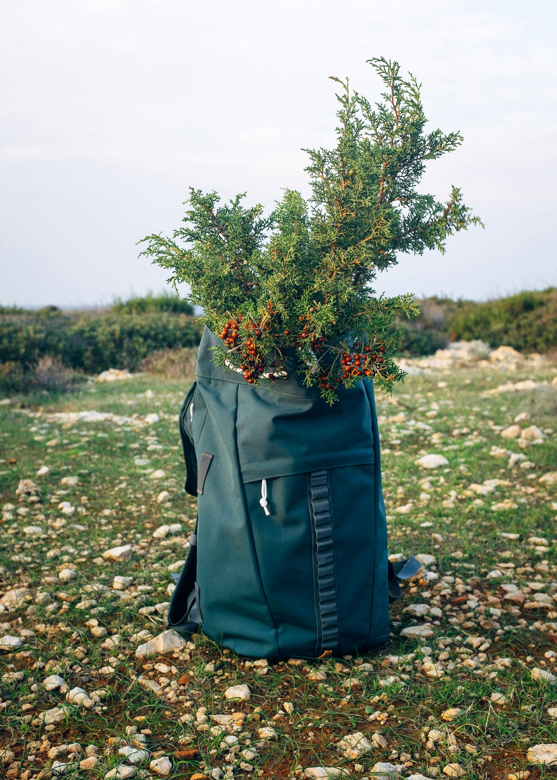 Sustainable Backpacks: Eco-Friendly Choices for Smart Shoppers